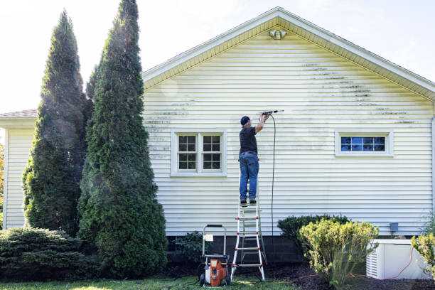Best Sidewalk and Walkway Cleaning  in Friendswood, TX